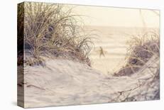 Sea Grass at Sunset-Elizabeth Kay-Art Print