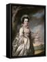 Elizabeth, Lady Jones, 1769-Francis Cotes-Framed Stretched Canvas