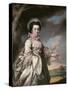 Elizabeth, Lady Jones, 1769-Francis Cotes-Stretched Canvas