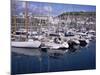 Elizabeth Marina, St. Helier, Jersey, Channel Islands, United Kingdom-David Hunter-Mounted Photographic Print