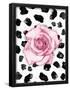 Essential Black