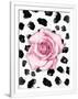 Gramercy White