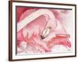 Chelsea Espresso