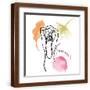 Brown Frame