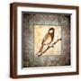Brown Frame