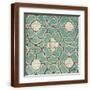 Brown Frame