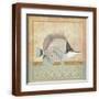 Brown Frame