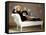 Elizabeth Montgomery BEWITCHED TV, 1964- 1972 (photo)-null-Framed Stretched Canvas