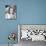 Elizabeth Montgomery - Bewitched-null-Mounted Photo displayed on a wall
