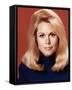 Elizabeth Montgomery-null-Framed Stretched Canvas