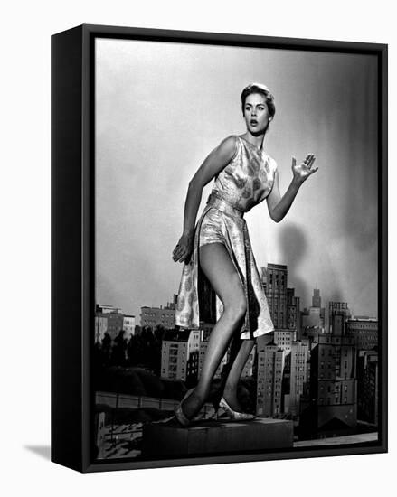 Elizabeth Montgomery-null-Framed Stretched Canvas