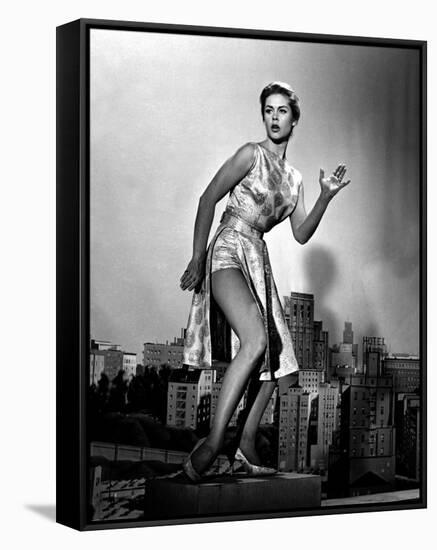 Elizabeth Montgomery-null-Framed Stretched Canvas