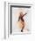 Elizabeth Montgomery-null-Framed Photo