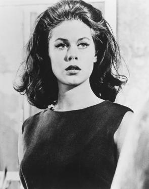 Elizabeth Montgomery Posters, Prints, Paintings & Wall Art for Sale