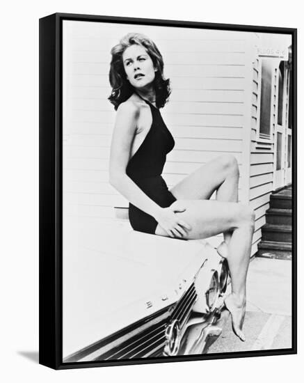 Elizabeth Montgomery-null-Framed Stretched Canvas