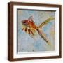 Brown Frame