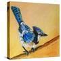 Stretched Canvas