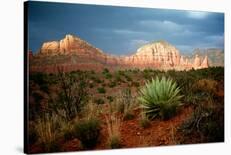 Slot Canyon-Elizabeth St^ Hilaire Nelson-Stretched Canvas