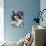 Elizabeth Taylor (1932-2011)-null-Giclee Print displayed on a wall