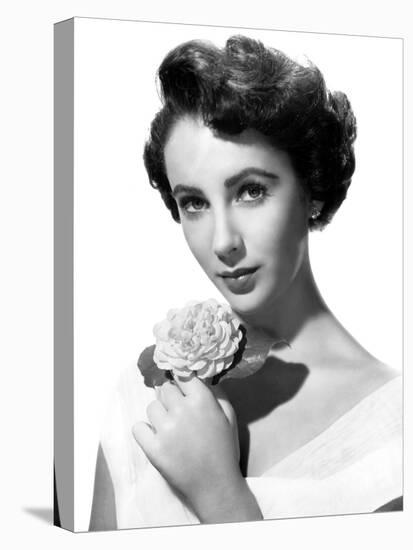 Elizabeth Taylor, 1950-null-Stretched Canvas