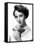 Elizabeth Taylor, 1950-null-Framed Stretched Canvas