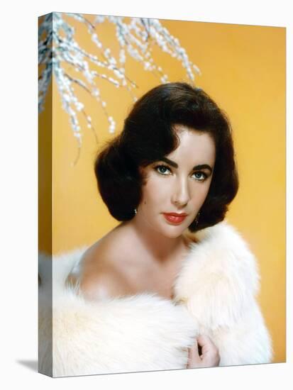 ELIZABETH TAYLOR, 1953 (photo)-null-Stretched Canvas