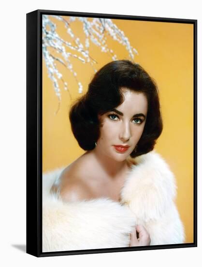 ELIZABETH TAYLOR, 1953 (photo)-null-Framed Stretched Canvas