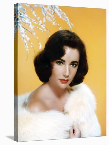 ELIZABETH TAYLOR, 1953 (photo)-null-Stretched Canvas