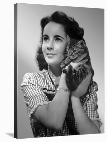 ELIZABETH TAYLOR (b/w photo)-null-Stretched Canvas