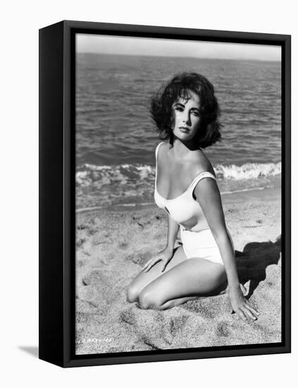 Elizabeth Taylor in 'Suddenly, Last Summer', 1959 (b/w photo)-American Photographer-Framed Stretched Canvas