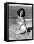 Elizabeth Taylor in 'Suddenly, Last Summer', 1959 (b/w photo)-American Photographer-Framed Stretched Canvas