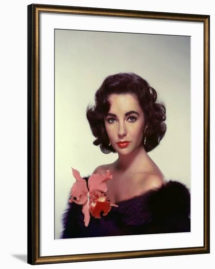 ELIZABETH TAYLOR in the 50's (photo)-null-Framed Photo