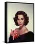 ELIZABETH TAYLOR in the 50's (photo)-null-Framed Stretched Canvas