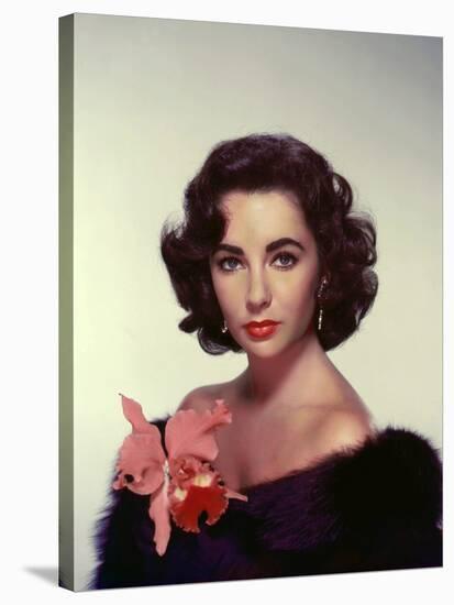 ELIZABETH TAYLOR in the 50's (photo)-null-Stretched Canvas