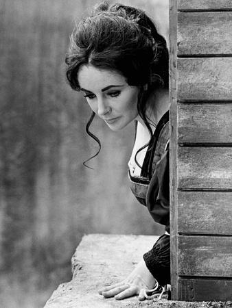 https://imgc.allpostersimages.com/img/posters/elizabeth-taylor-in-the-taming-of-the-shrew-photo_u-L-Q1C36550.jpg?artPerspective=n