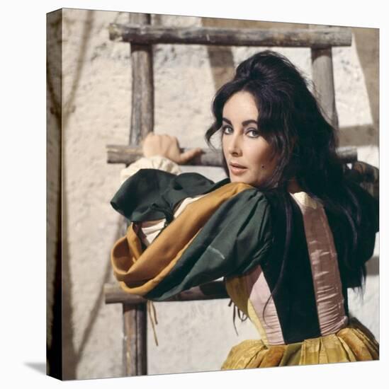 Elizabeth Taylor in 'The Taming of the Shrew' (photo)-null-Stretched Canvas