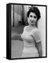 Elizabeth Taylor Outside of Sound Stages during Filming of A Place in the Sun-Peter Stackpole-Framed Stretched Canvas