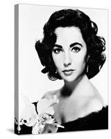 Elizabeth Taylor-null-Stretched Canvas