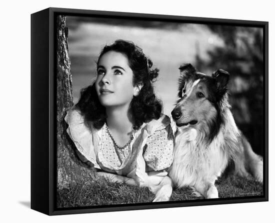 Elizabeth Taylor-null-Framed Stretched Canvas