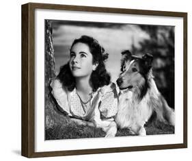 Elizabeth Taylor-null-Framed Photo