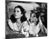 Elizabeth Taylor-null-Mounted Photo