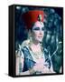 Elizabeth Taylor-null-Framed Stretched Canvas