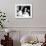 Elizabeth Taylor-null-Framed Photo displayed on a wall