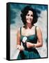 Elizabeth Taylor-null-Framed Stretched Canvas