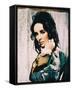 Elizabeth Taylor-null-Framed Stretched Canvas