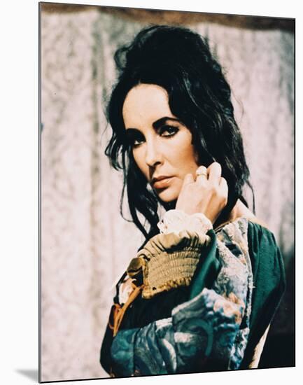 Elizabeth Taylor-null-Mounted Photo