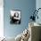 Elizabeth Taylor-null-Photographic Print displayed on a wall