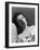 Elizabeth Taylor-null-Framed Photographic Print