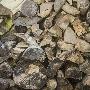 Just the Print