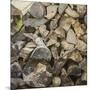 Wood Mount